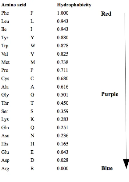 Figure 3.3: Hydrophobicity values for amino acids and corresponding color scale