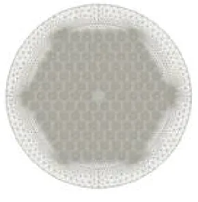 Fig. 3. Solid-core PCF with triangular meshing 