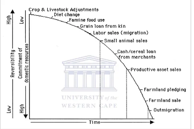 Figure 2.1: Responses to household food shortage 