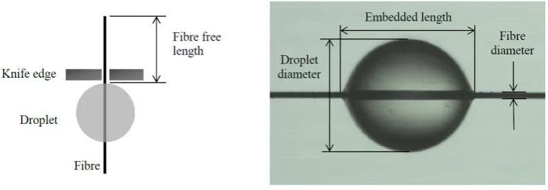 Figure 2. microbond test set-up (left), CF/Epoxy droplet viewed by microscopy (right)