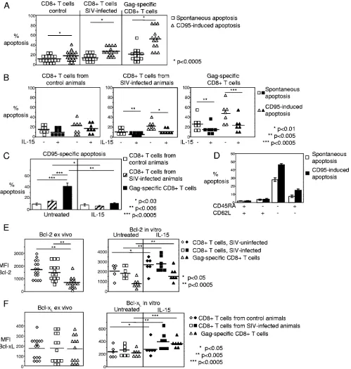FIG. 2. SIV-speciﬁc CD8� T cells are highly sensitive to apoptosis, which is inhibited by IL-15