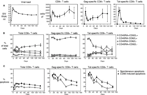 FIG. 3. Memory phenotype and apoptosis susceptibility of Gag-speciﬁc CD8�infection. For all panels, data for day zero to day 56 represent 12 animals, and data for day 84 to day 140 represent 5 animals