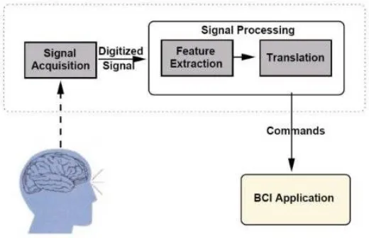 Figure 2 shows the basic design and operation mode/concept of BCI. During embryonic development and after that A BCI uses brain signals to control a device or to adjust the communication between user and a device [12]