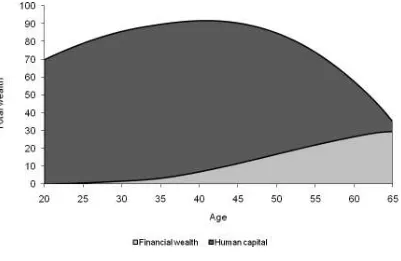 Figure 1.1 – Decomposition of total wealth over the life cycle 