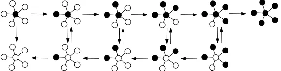 Figure 3. States of a dynamics on a star with n = 5 leaves.
