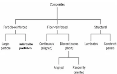 Table 1.1 Fibber System Codes 