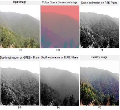 Fig. 2. “Forest” Image 