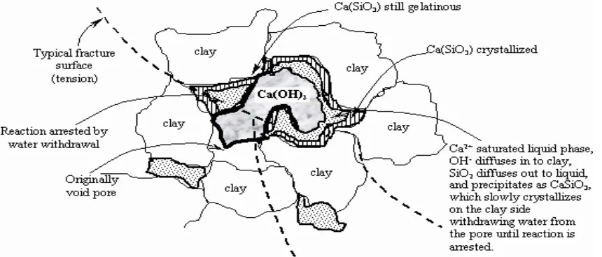 Figure 1:- Reaction mechanism of stabilization on clay soils (Ingles, 1972)  