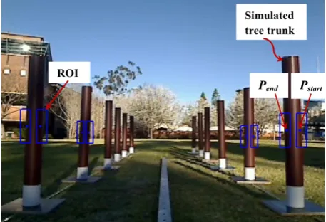 Figure 3: The simulated environment.