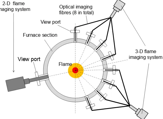 Fig. 1. Schematic of the 2-D and 3-D flame imaging system deployed at the UK CCS Research Centre core facilities