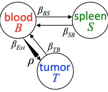 Figure 2: Schematic of the simple compartmental model described in (7).