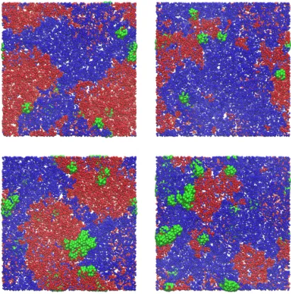 FIG. 4. Simulation snapshots showing representative conﬁgurations for NE nanoparticles on phase