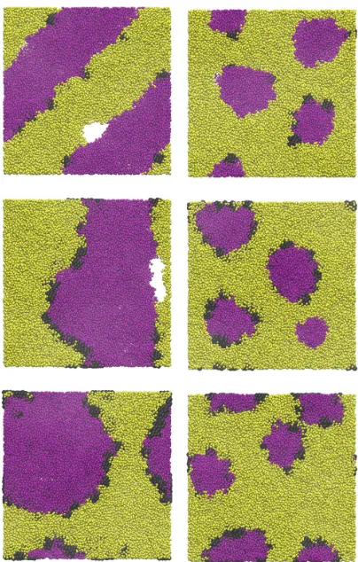 FIG. 6. Simulation snapshots showing representative conﬁgurations for NI nanoparticles on phase