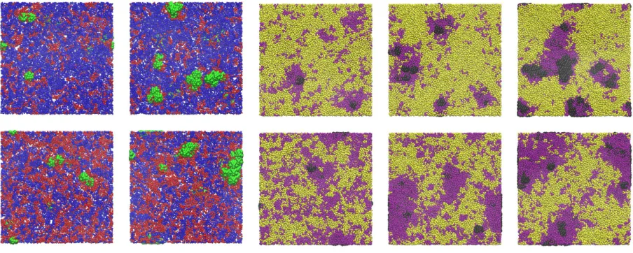 FIG. 8. Simulation snapshots showing representative conﬁgurations for (left to right) BE nanopar-