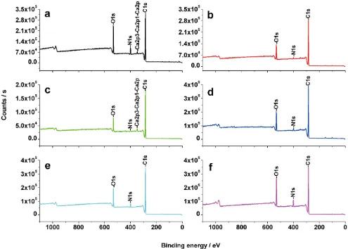 Figure 7. X-ray photoelectron spectroscopy of six native elytral surfaces. a.sinica A