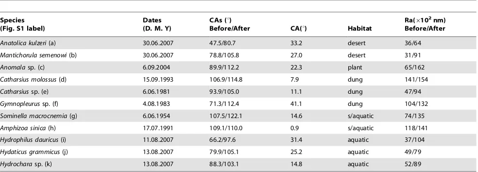 Table 1. Data of the 11 species of beetles studied - collection dates, habitat, contact angles (CAs) and the roughness average (Ra)on the elytral surfaces before/after flowing chloroform treatment.