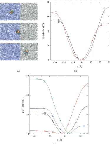 Figure 6: (a) Simulation snapshots showing CG HFBII in bulk water (top), at water-octane interface (middle), and in bulk octane (bottom).(b) Free energy profile for HFBII (black) and HFBI (red)
