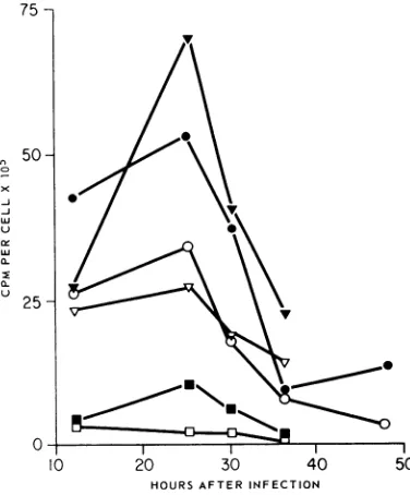 FIG. 4.cm2.ofmonolayerandgroupmock-infectedandSymbols:cultures;PFU/cell.turesradiated, ME Effect of UV irradiation on DNA synthesis cells irradiated prior to polyoma infection