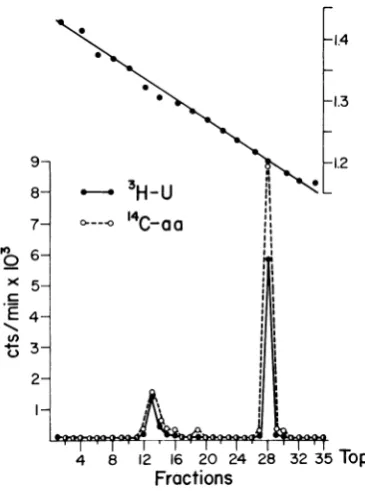 Figure 4intion a shows the distribution of radioactivity representative CsCl gradient after centrifuga- of deoxycholate-degraded purified virions