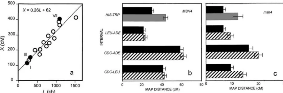 Figure 2.—Relationships among chromosome length, crossover density, andmorgans as a function of length in kilobases with the least-squares regression of the data for msh4 phenotype