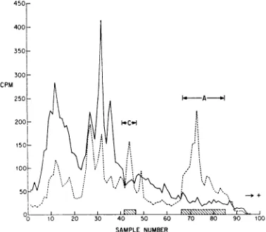 FIG. 4.extractedlysineinfectedus-induced7 hr Electropherogramofradioactiveproteins with 0.25 N HCI from pseudorabies virus- RK13 cells