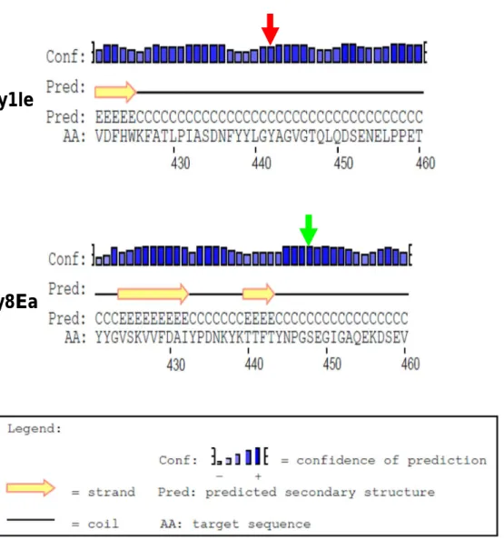 Figure 3.16: Comparison of the secondary structures around Y442H mutation in  Cry1Ie  and  the  corresponding  region  in  Cry8Ea  using  PSIPRED  programme