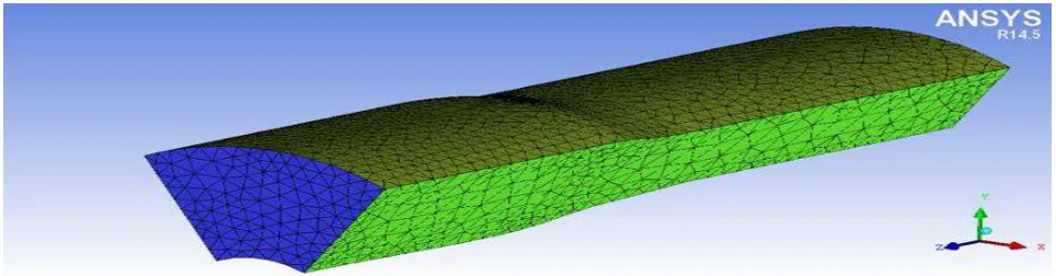 Fig. at the surface of blade grids were very fine because this was the domain where flow behaviours were very important