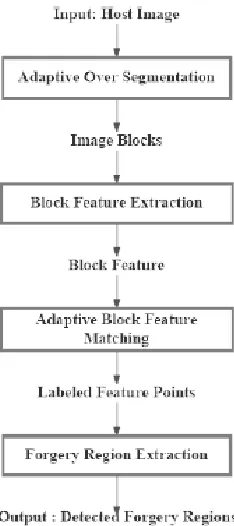 Fig. 1 Framework of the proposed copy-move forgery detection scheme 