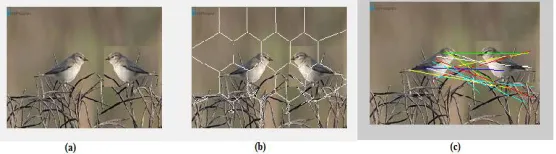 Fig. 3.(a) Original Image (b) Forged Image 