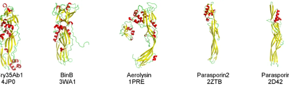 Figure 8. Comparison of proteins structurally related to Cry35Ab1. Cry35Ab1 is structurally related to a wide variety pore-forming proteins as assessed by combinatorial extension