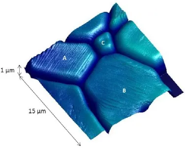 Figure 2. AFM image of CeO2 surface, showing grains, grain boundaries, pores and facets