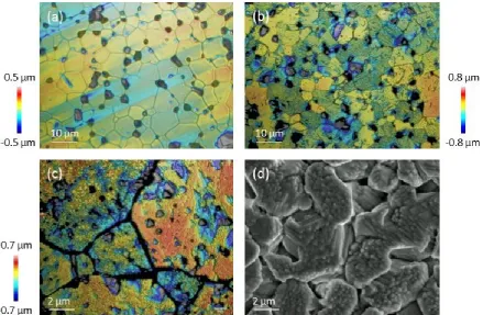 Figure 3. Vertical scanning interferometer and SEM images of CeO2 surfaces (a) prior to dissolution and following 