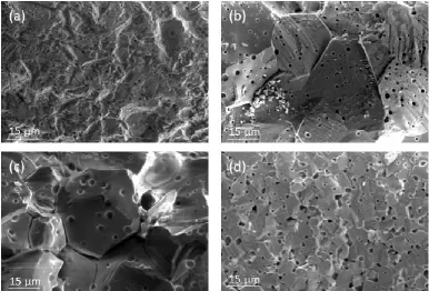 Figure 4. SEM images of cross sections through CeO2, with the surface of the sample just above the top of each image: 