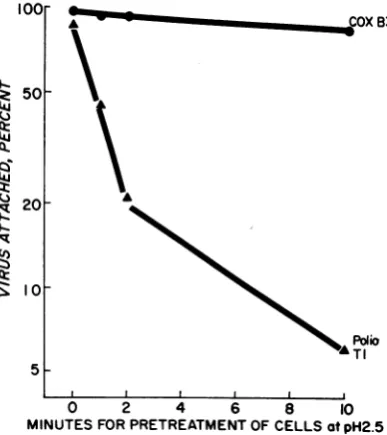 TABLE 2. Capacity of assorted reagents to dissociate enteroviruses from HeLa cells