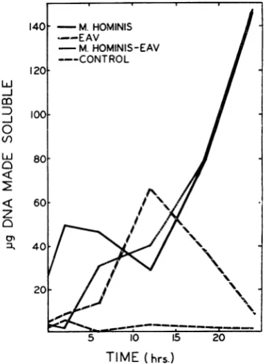 FIG. from 106 L activitypostinfection.medium minDNAwhich 1. Deoxyribonuclease growing of the medium L-cell cultures were at various times (Activity was calculated as micrograms of made ethyl alcohol-solublein 30by the cells.)