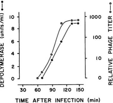 FIG. a,id phage 2 ininfected 2. Appearance of depolymerase cultures of strain BI.,h