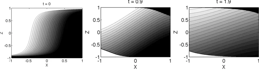 Figure 4.6: Case (A): shock formation from ∇ϕ0(r) = 1 − r.
