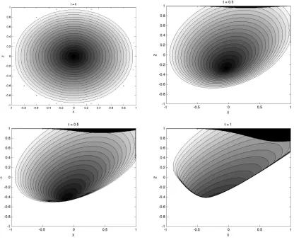 Figure 4.7: Case (B): shock formation from ∇ϕ0(r) = r.