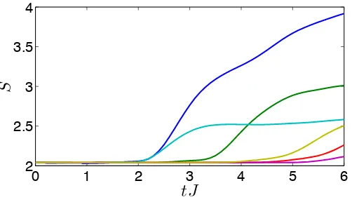 FIG. 11: Six example trajectories showing time-dependent DMRG simulations of the dynamics of 48 bosons on 48lattice sites in a master equation with H = HBH eq