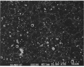 Figure 4.3.SEM images from Cu Test #1 showing the distinct substrate grain boundarieswhich tend to interfere with image analysis.
