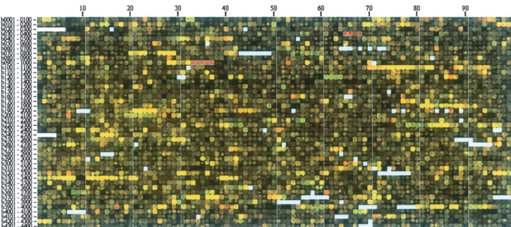 Figure 1.—Genome image of anmethodsrefers to the ratio ofmedium (as the sulfur source