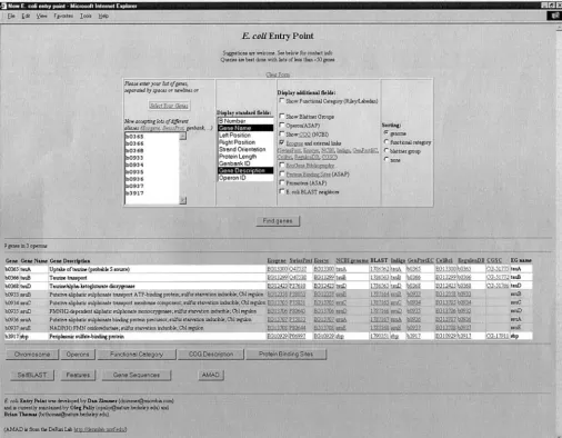 Figure 3.—A screen shot of the main page of the�and a number of web links to external databases were displayed