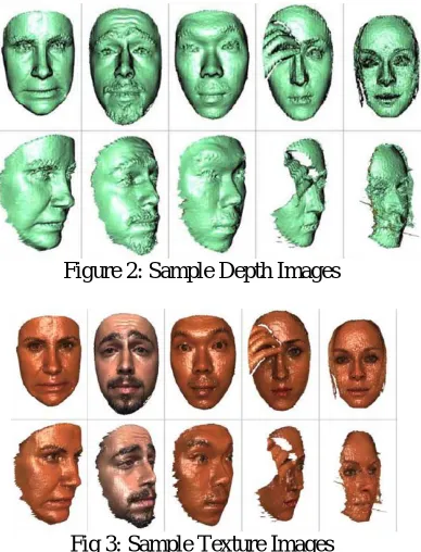Figure 2: Sample Depth Images  