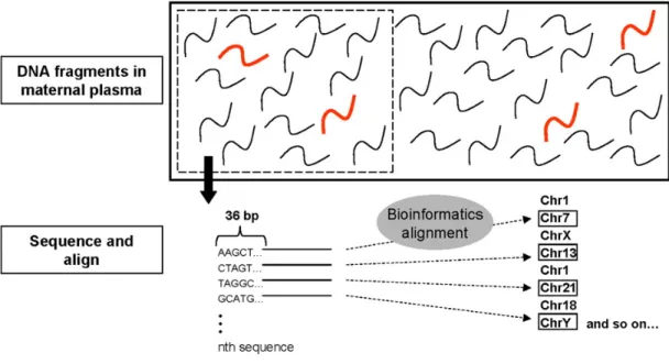 Figure 9.8.2-4.  A cartoon showing the first two steps in massively  parallel sequencing of free DNA in the maternal circulation