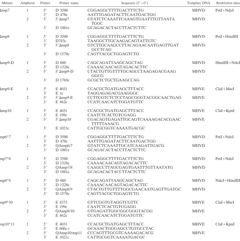 TABLE 1. Primers, template DNAs, and restriction sites used in the generation of deletion and cleavage mutants