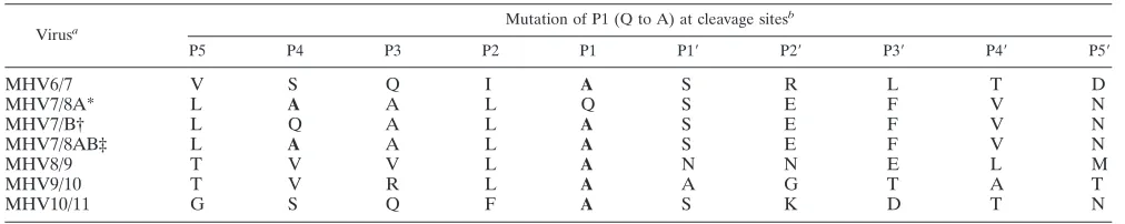 TABLE 2. nsp7 to nsp10 cleavage sites for wild-type MHV and deletion mutants