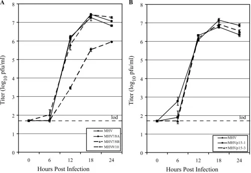FIG. 2. RT-PCR veriﬁcation of the replication deﬁciency of non-syncytium-forming cleavage mutant viruses