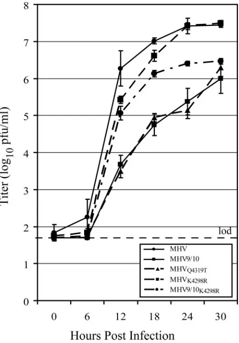TABLE 4. Genomic variations in nsp9 among MHV, MHV9/10,and the passage 15 mutants