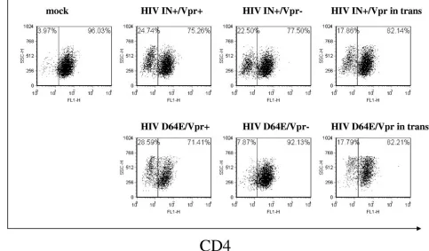 FIG. 5. Vpr-mediated expression of Nef from HIV IN�defective HIV deﬁcient in Vpr (HIV IN(HIV INwith 200 ng of p24 antigen of wild-type or integrase-defective HIV expressing Vpr (HIV INantibody staining and ﬂow cytometry