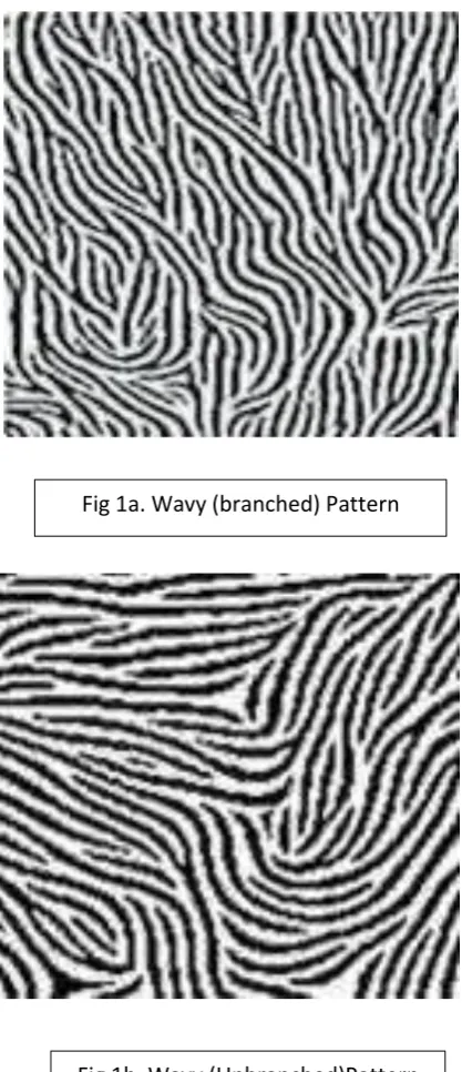 Fig 1a. Wavy (branched) Pattern  